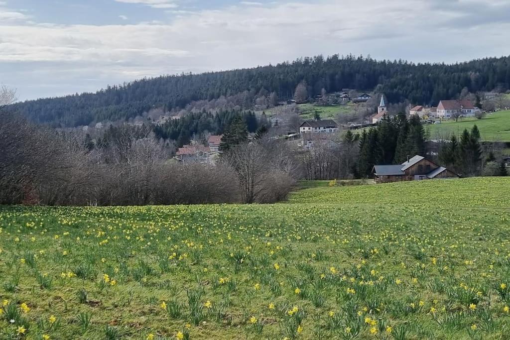 Le Grenier De Jules Et Marguerite Vila Liézey Exterior foto